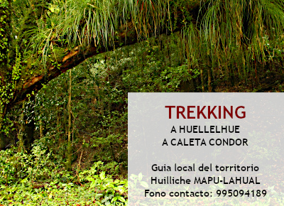 trekking