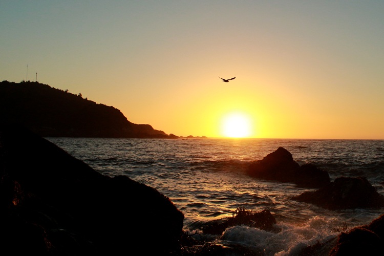 bahia 3