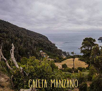 caleta manzano cuadro