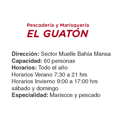 ficha EL-GUATON