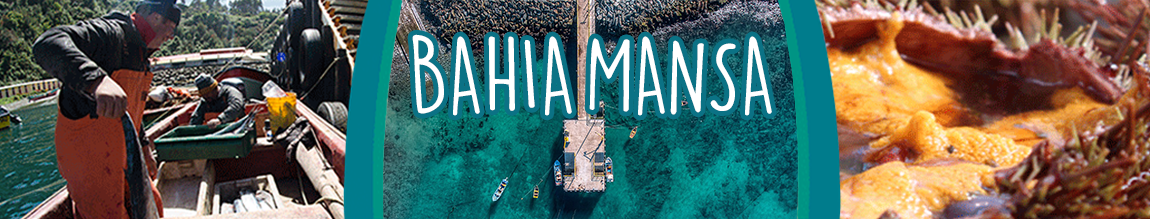 Bahia Mansa titulo