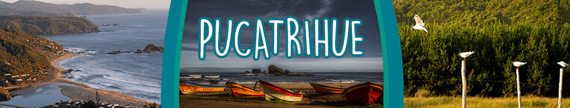 pucatrihue titulo