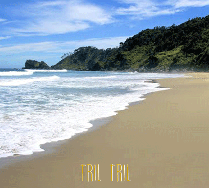 tril tril cuadro